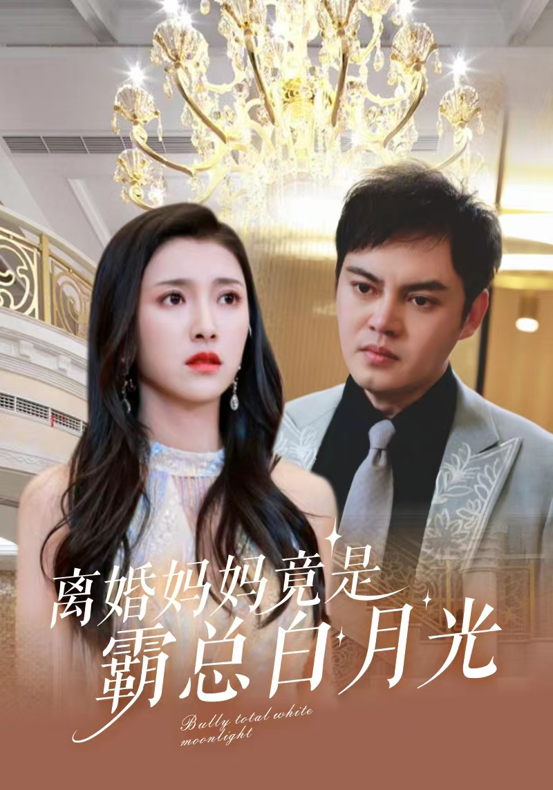 离婚妈妈竟是霸总白月光海报图