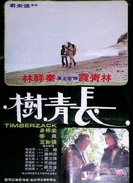 长青树封面图