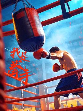 我是拳手封面图