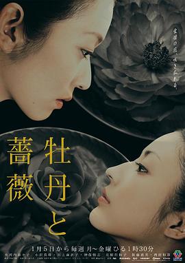 牡丹与玫瑰封面图