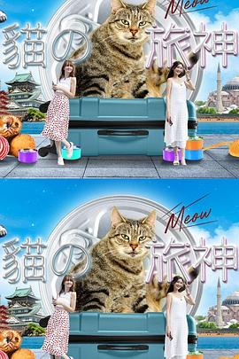 猫之旅神封面图