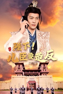 陛下！儿臣要造反海报图
