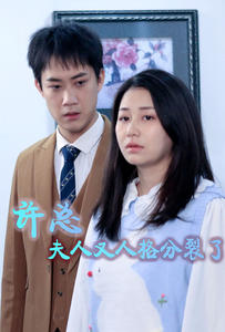 许总，夫人又人格分裂了海报图