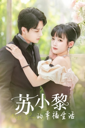 苏小黎的幸福生活海报图
