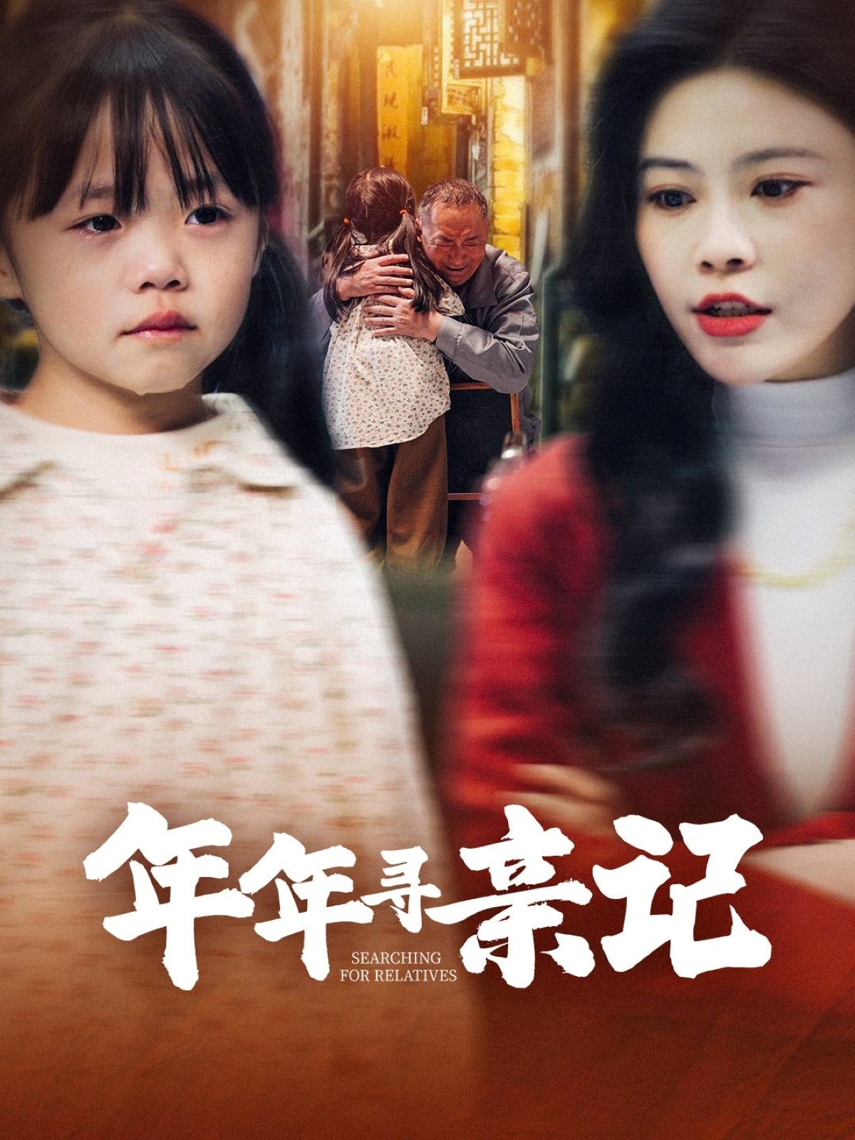 年年寻亲记海报图