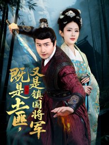 既是土匪，又是镇国将军海报图