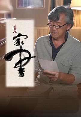 看见家书封面图