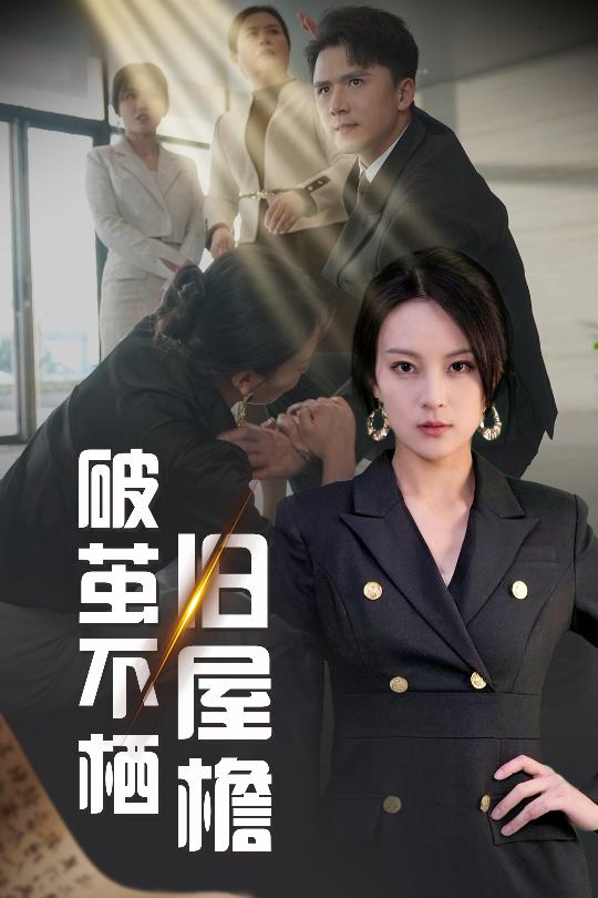 破茧不栖旧屋檐海报图