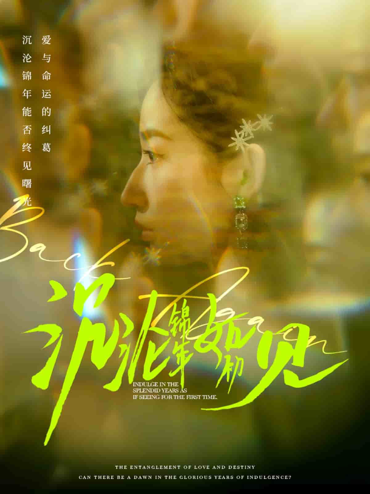 沉沦锦年如初见海报图