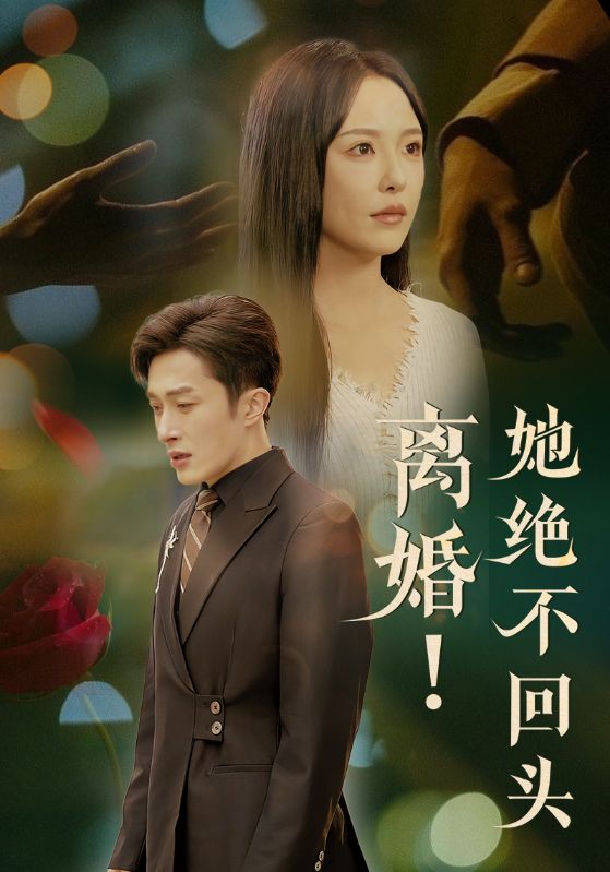 离婚她绝不回头海报图