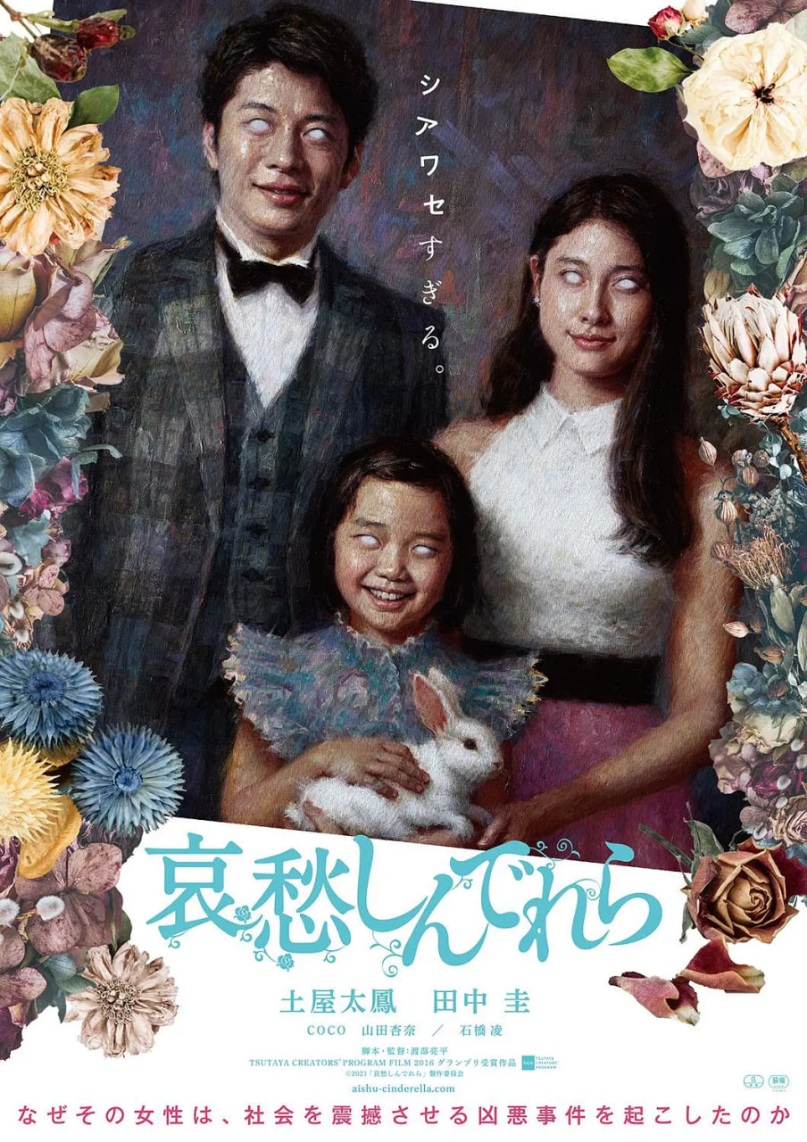 哀愁灰姑娘封面图
