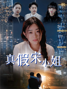 真假宋小姐海报图