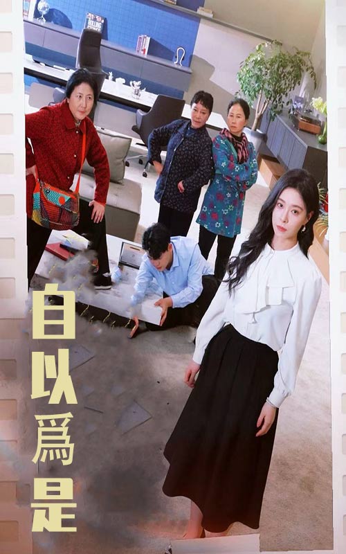 自以为是海报图