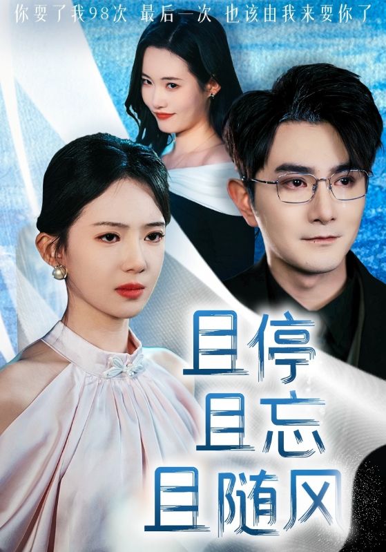 且停且忘且随风海报图