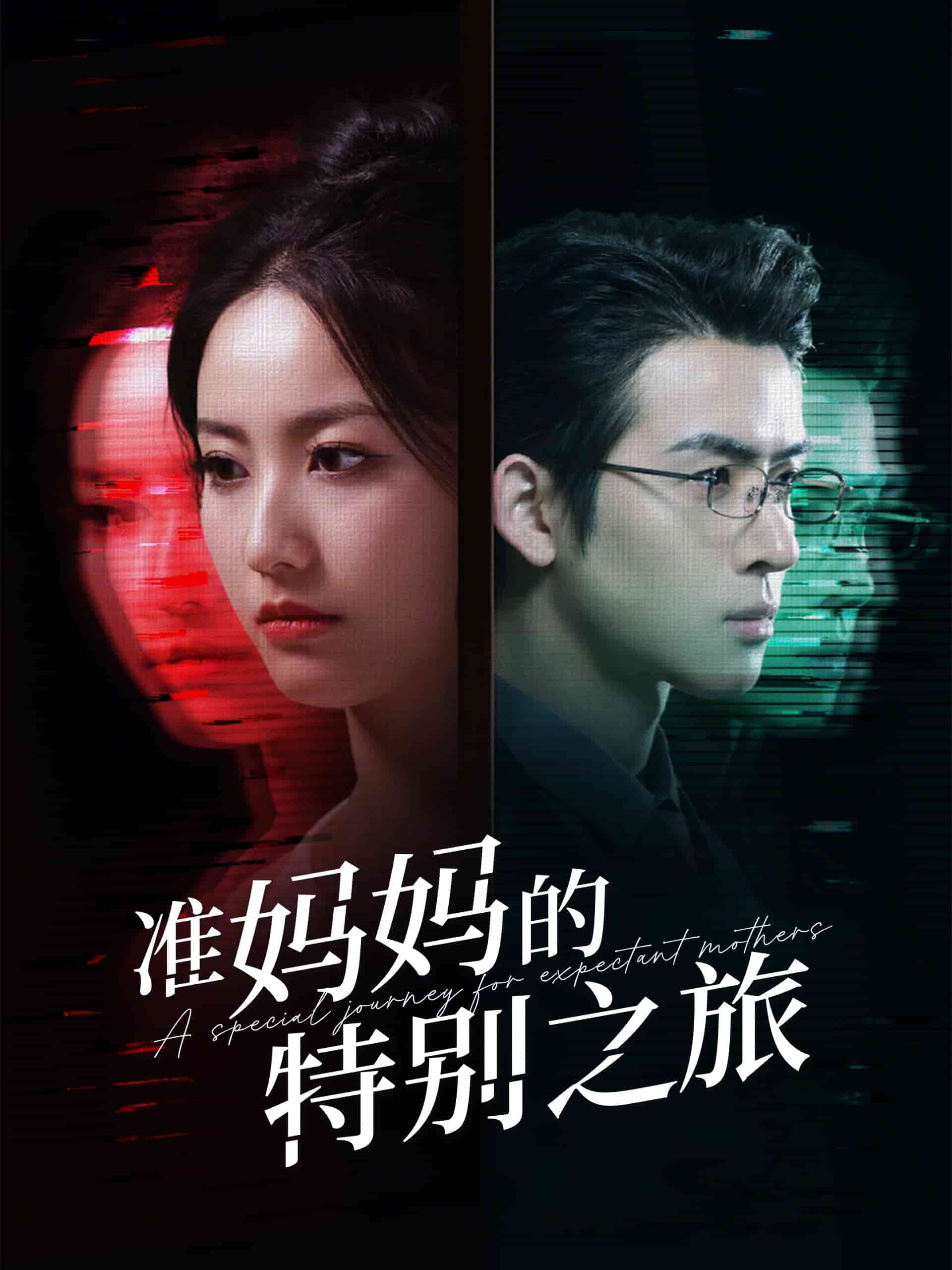 准妈妈的特别之旅海报图