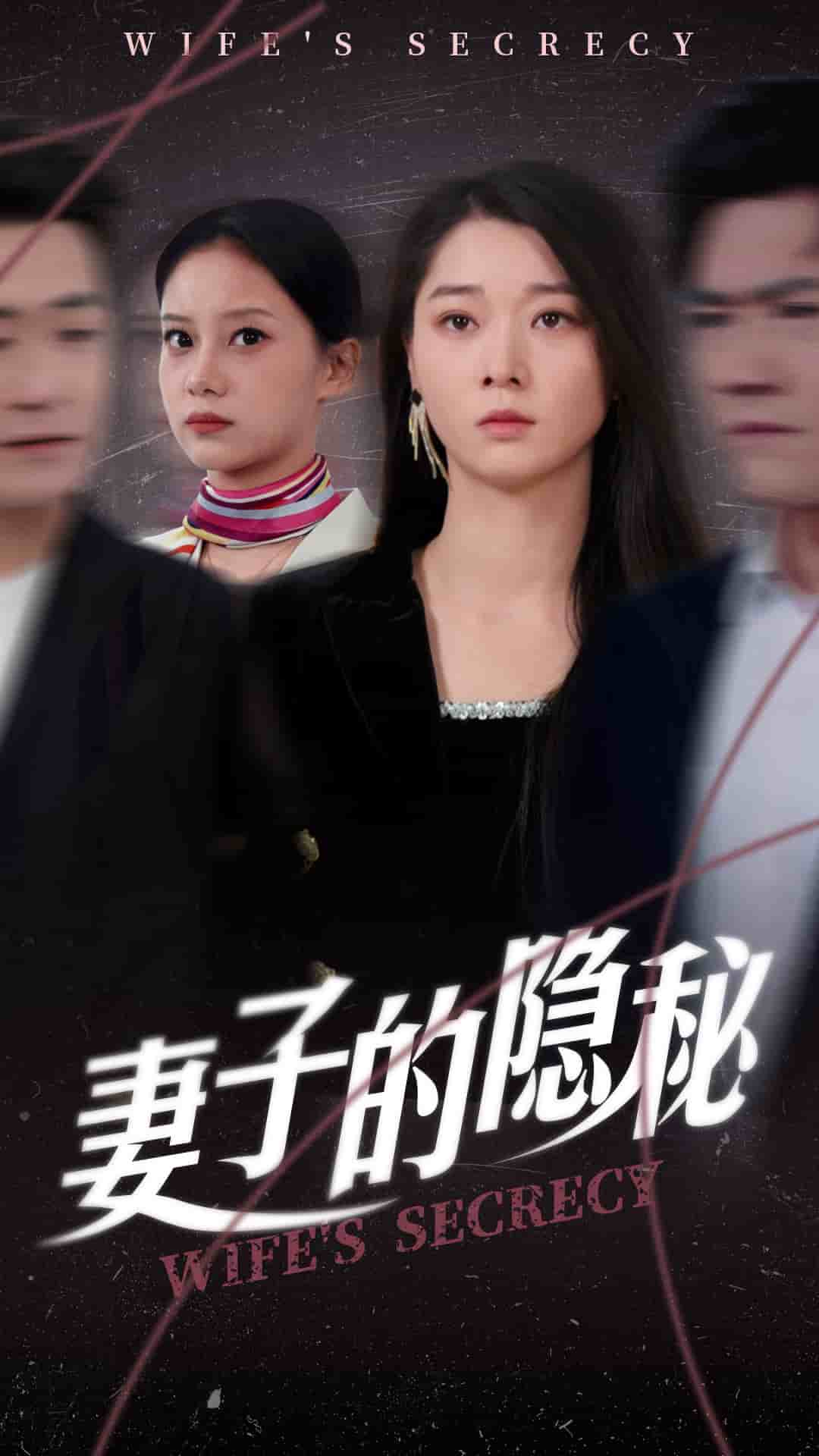 妻子的隐秘海报图