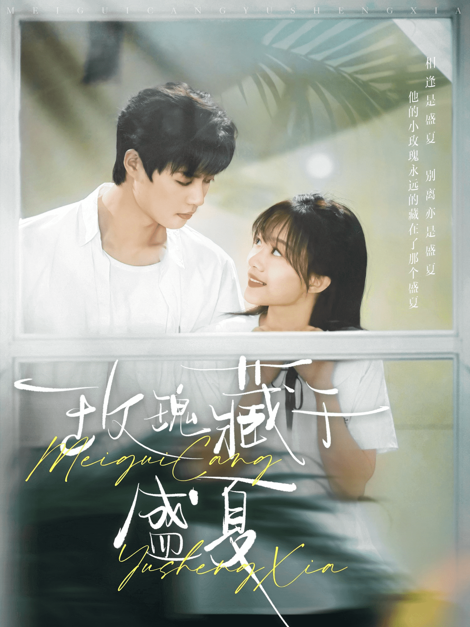 玫瑰藏于盛夏海报图