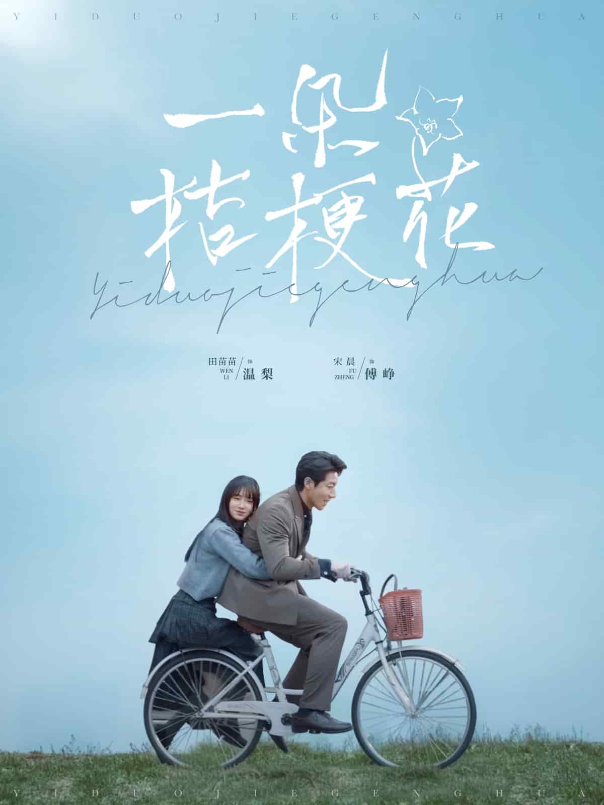 一朵桔梗花海报图