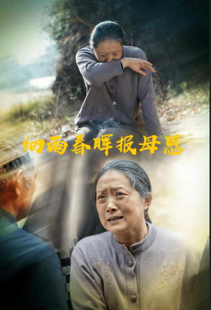 细雨春晖报母恩海报图