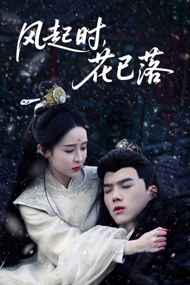 风起时，花已落海报图