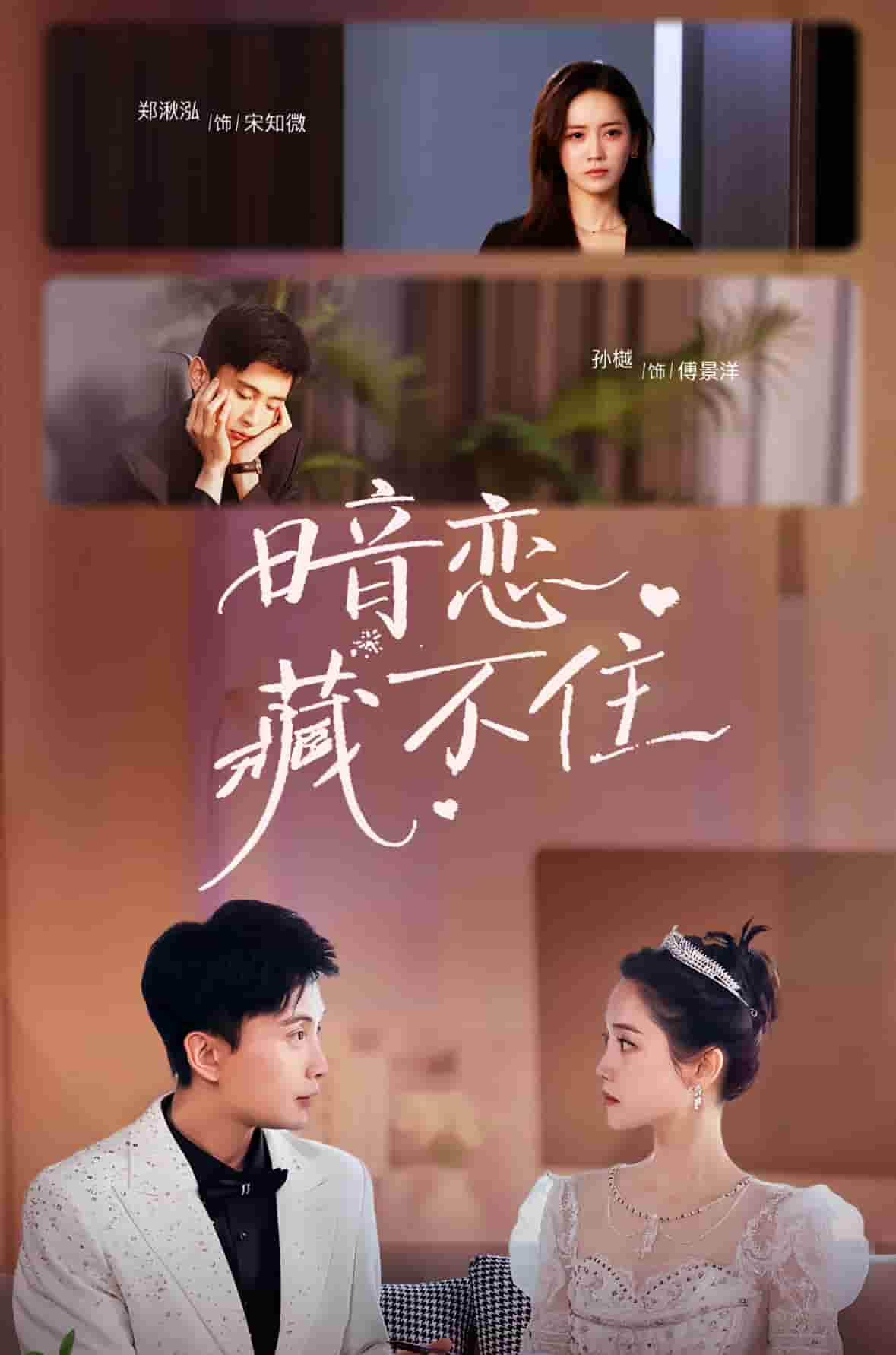 暗恋藏不住封面图