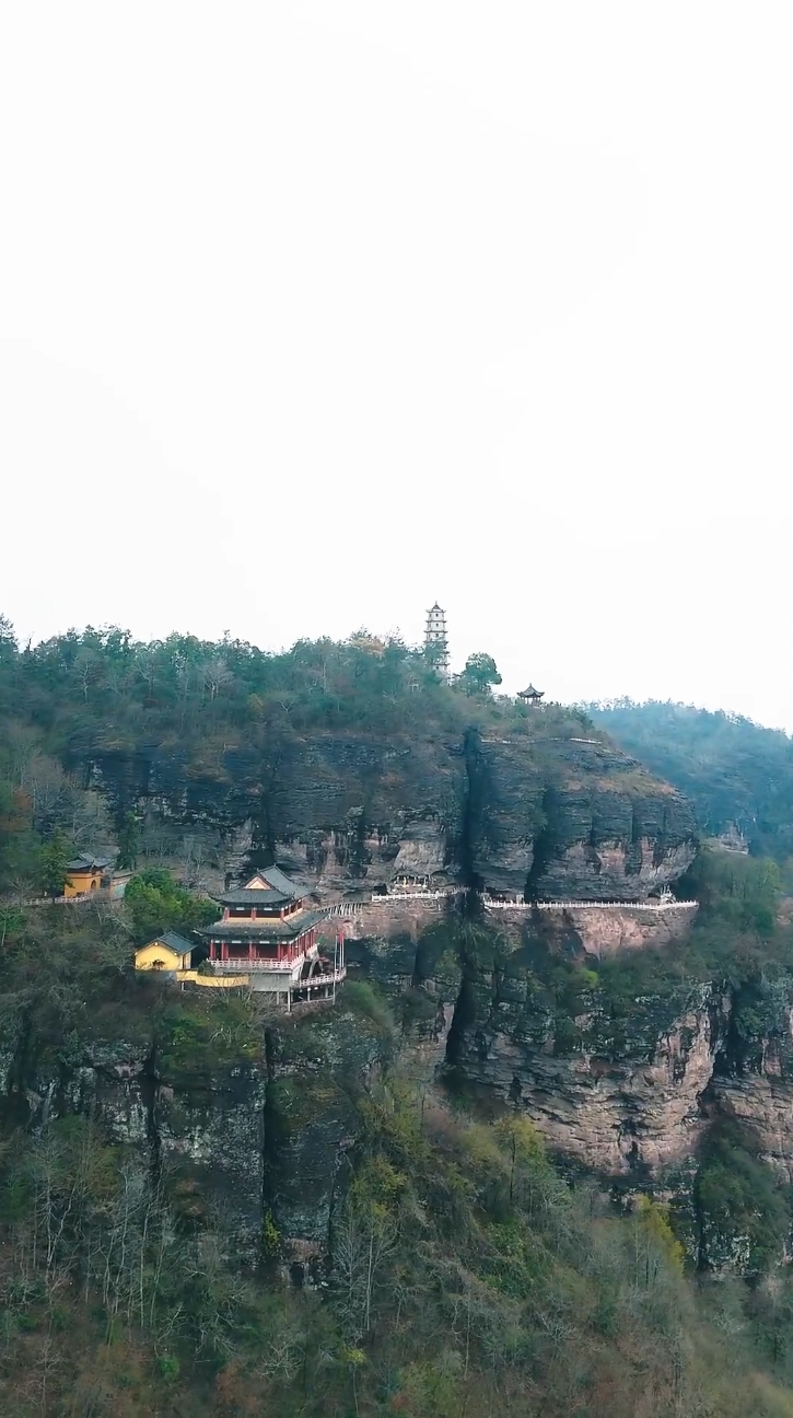 功夫萌宝神算爹封面图