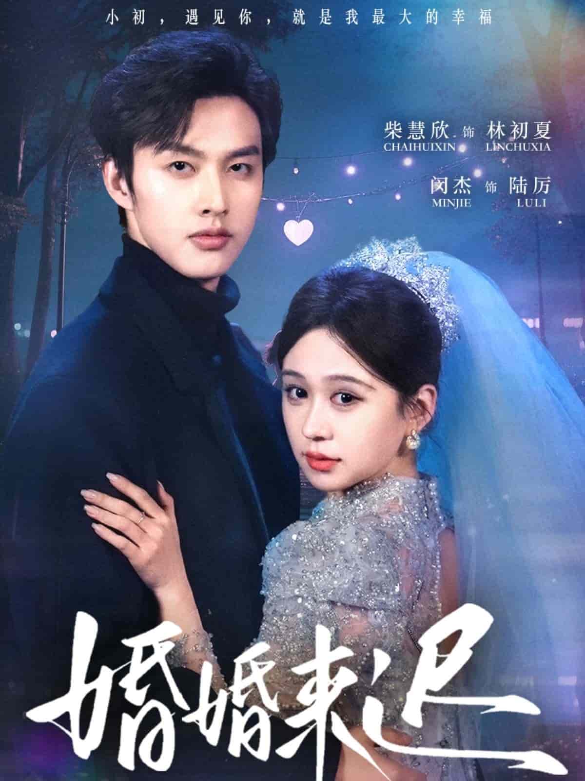 婚婚来迟海报图