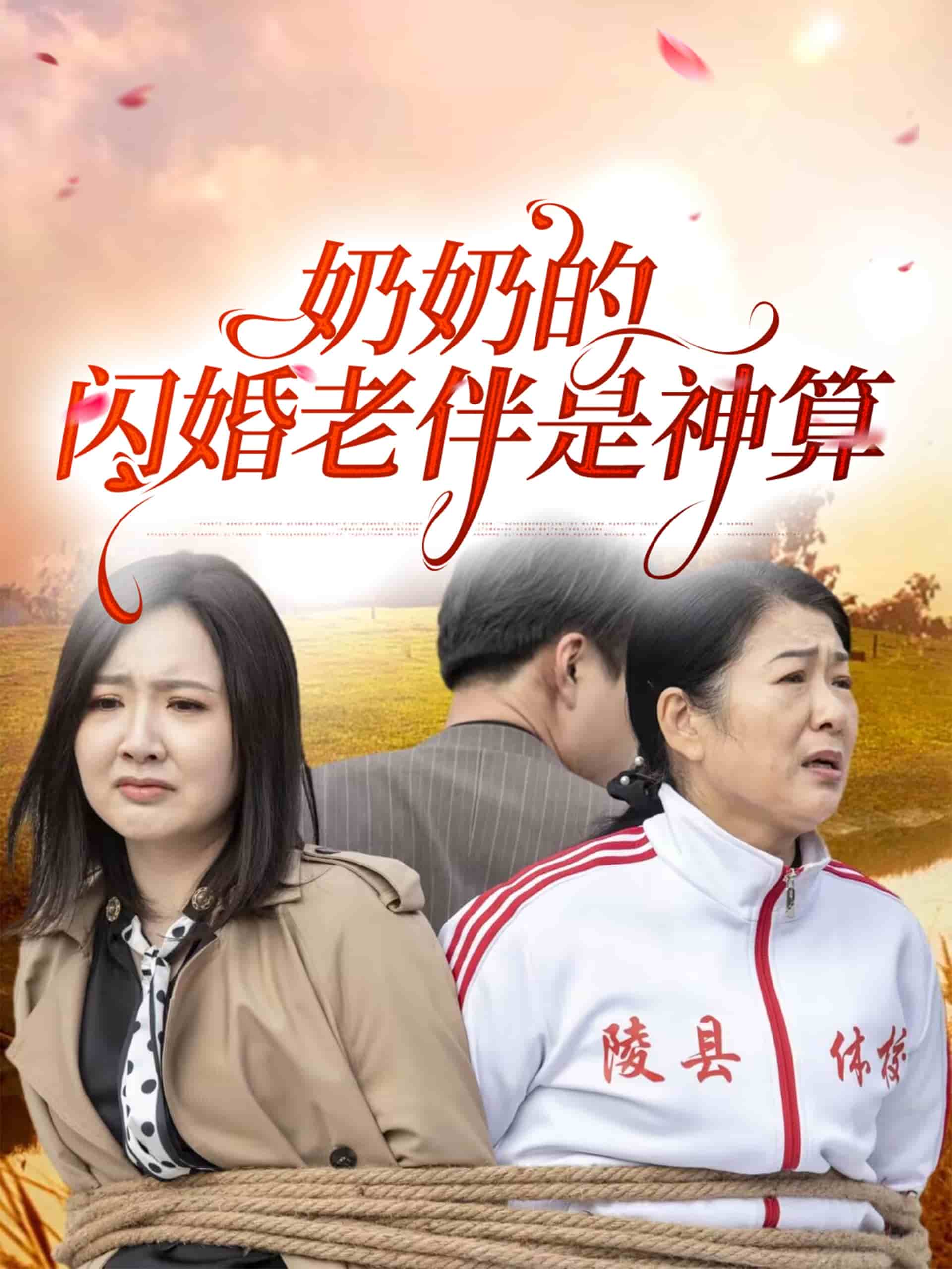 奶奶的闪婚老伴是神算海报图