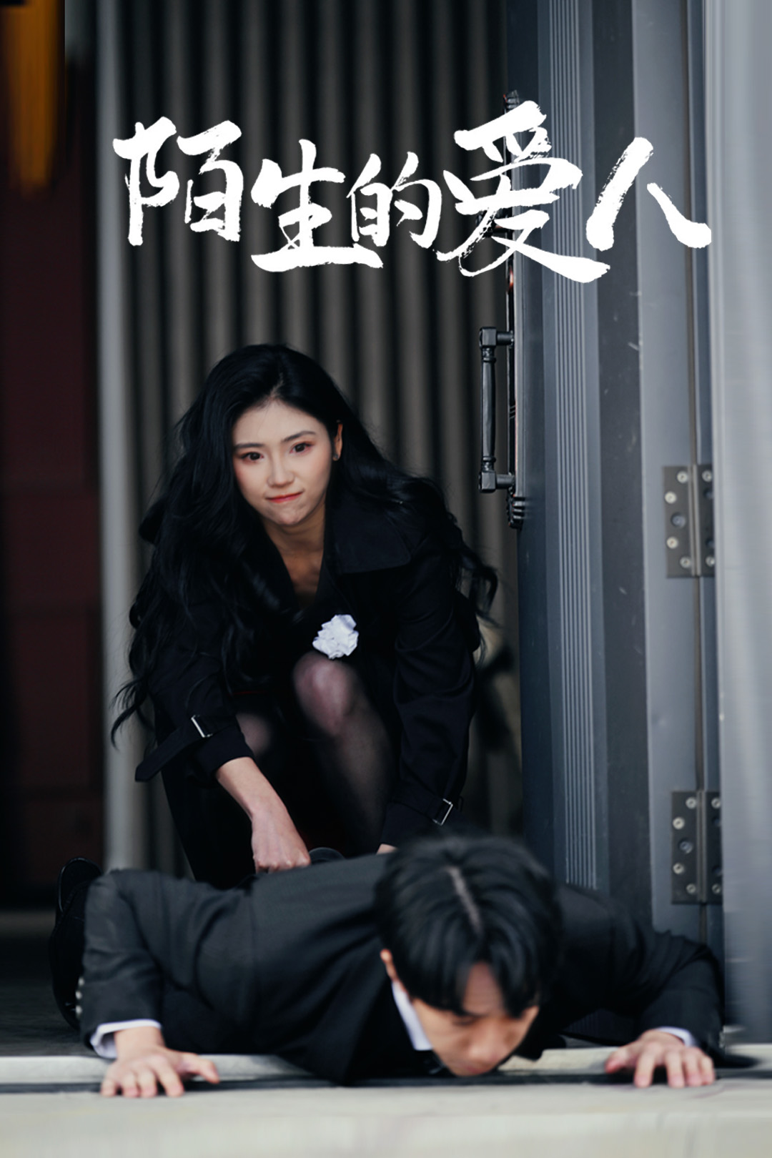 陌生的爱人海报图
