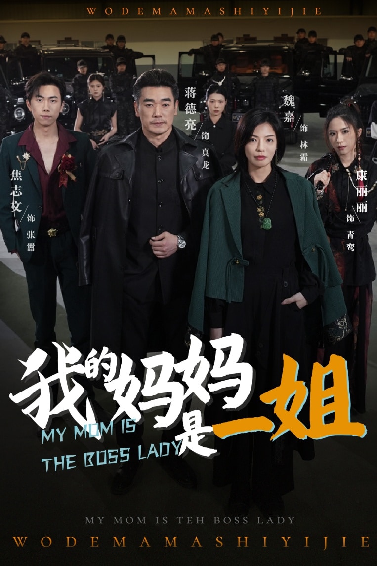 我的妈妈是一姐海报图