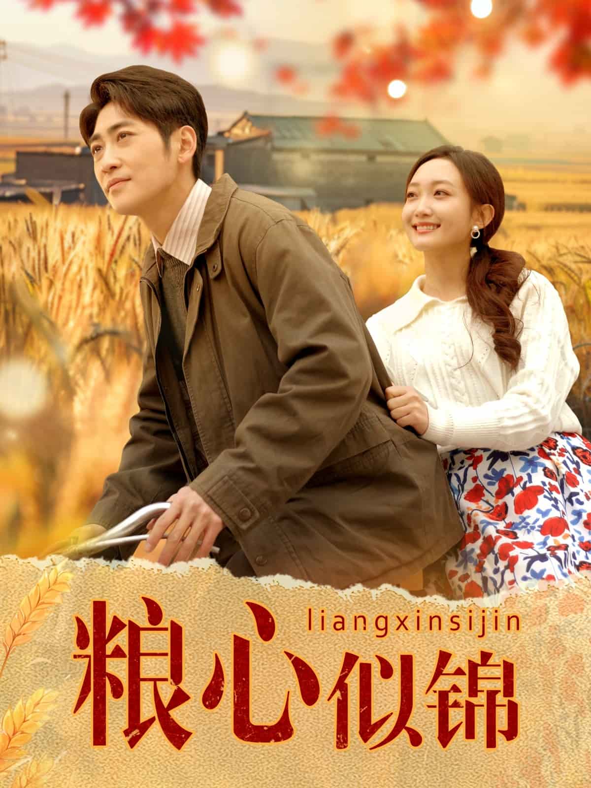 粮心似锦海报图