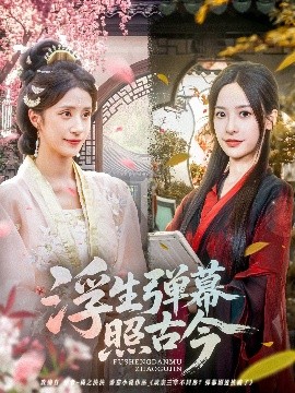 浮生弹幕照古今海报图