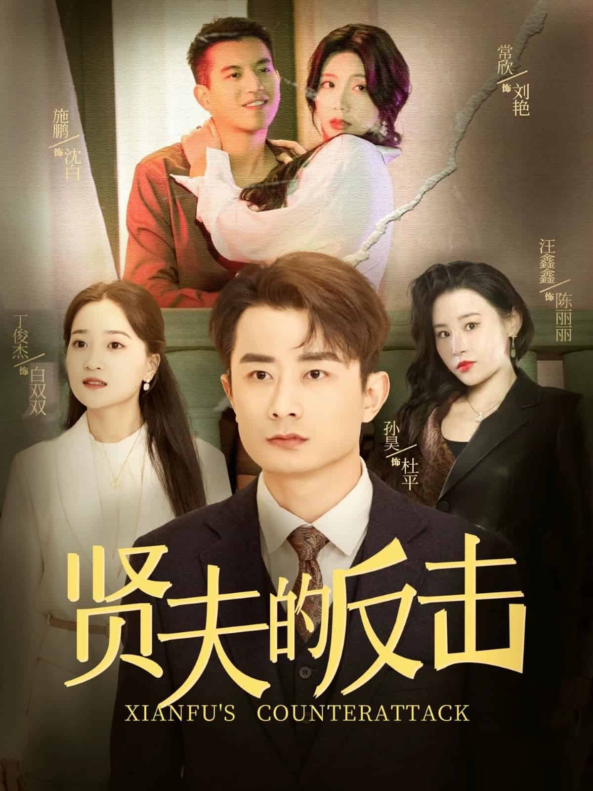 贤夫的反击海报图