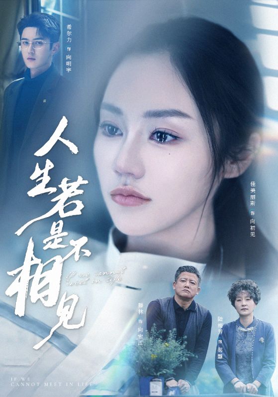 人生若是不相见海报图