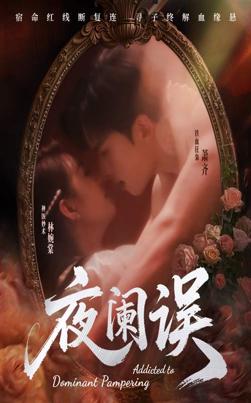 夜阑误海报图