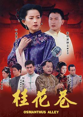 桂花巷封面图