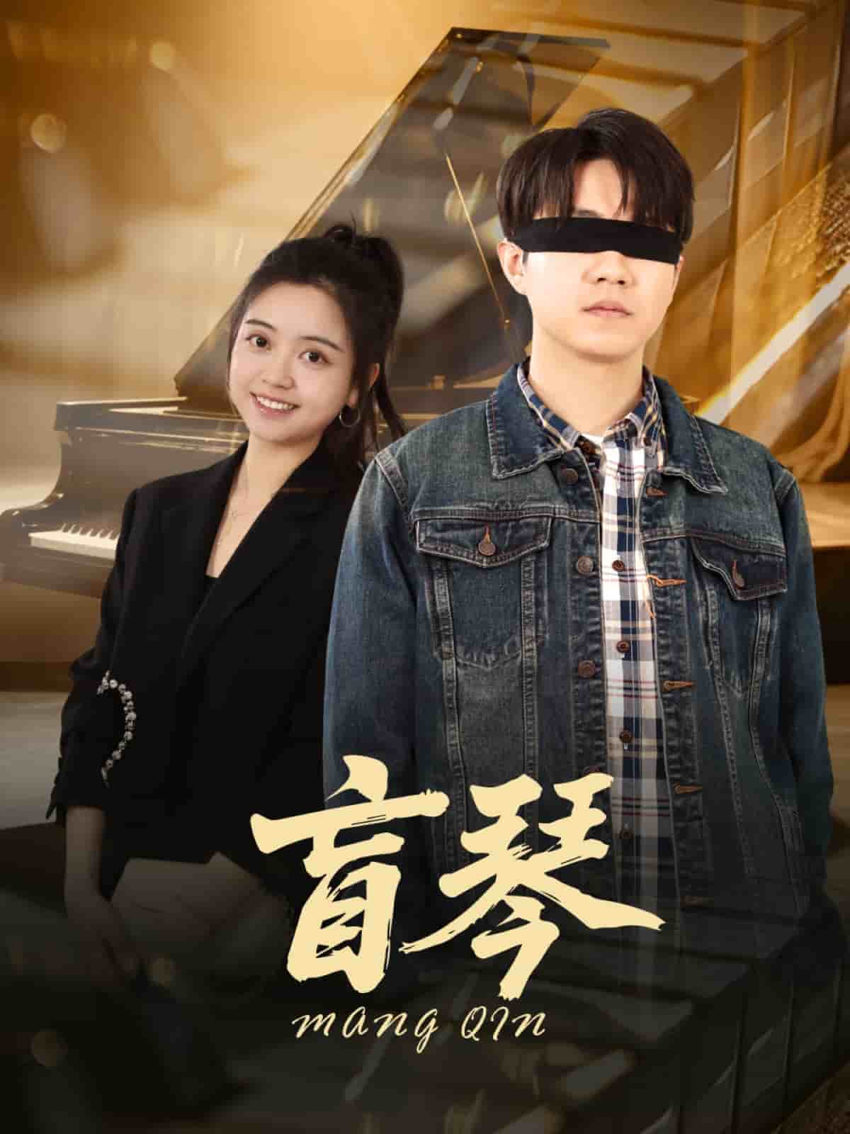 盲琴海报图