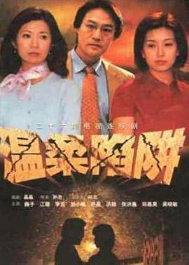 温柔陷阱2001封面图