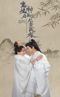 重生后神医王妃要改嫁海报图