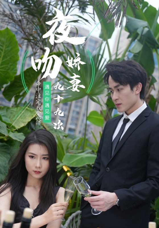 夜吻娇妻九十九次海报图