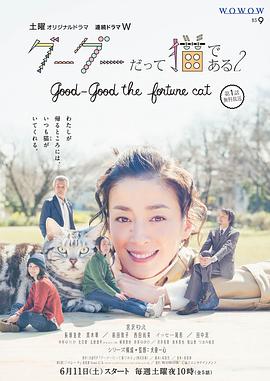 咕咕是一只猫第二季封面图