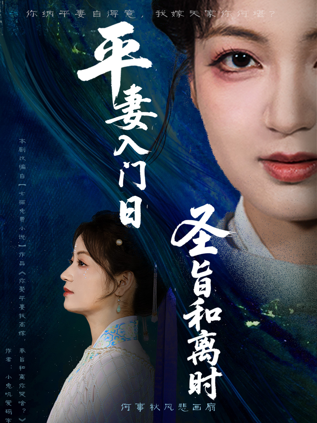 平妻入门日圣旨和离时海报图