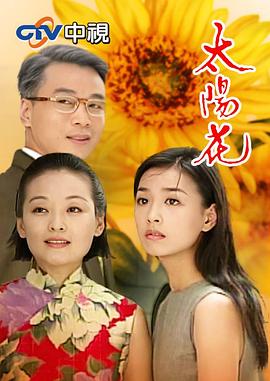 太阳花1998封面图