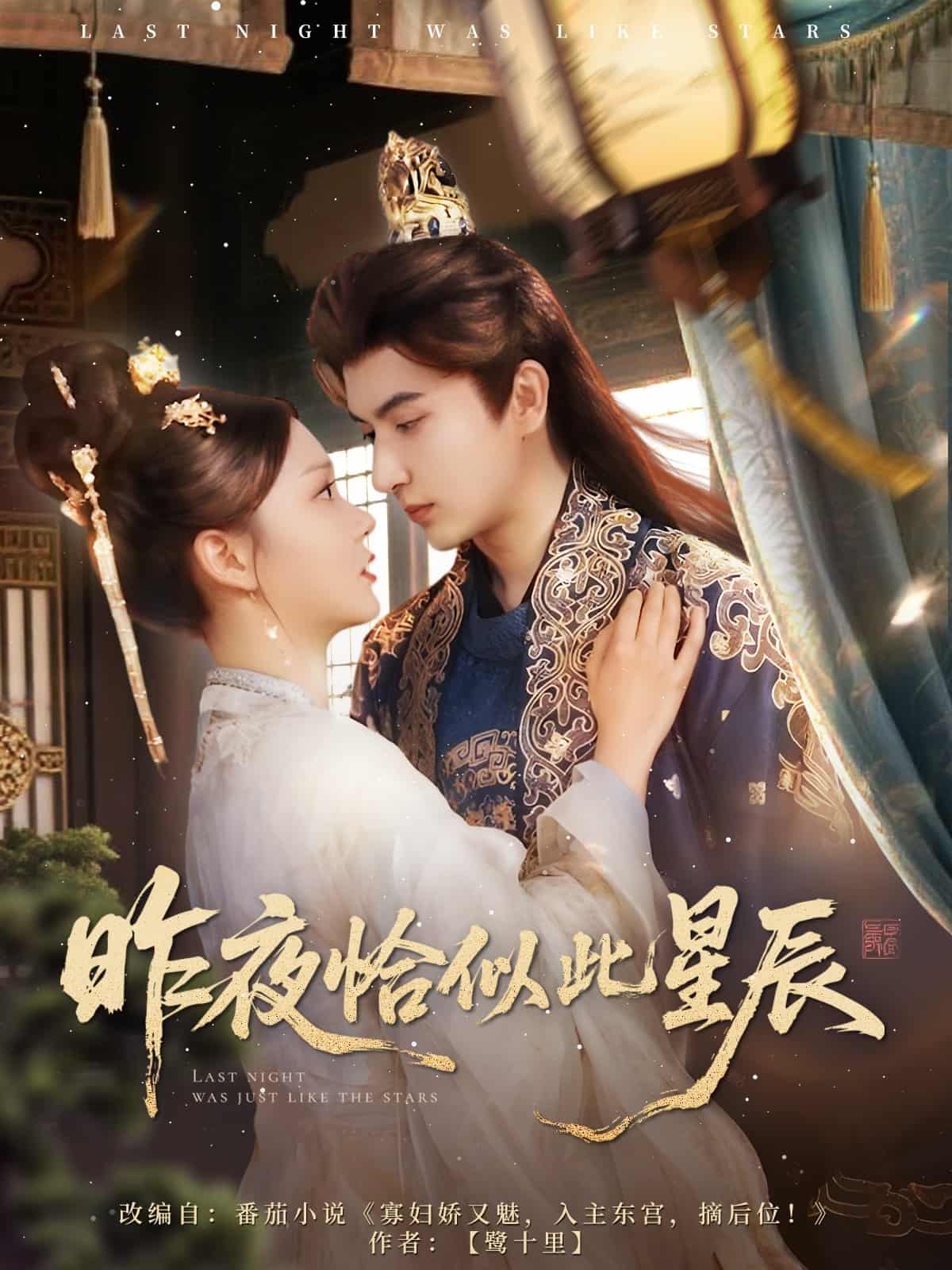 昨夜恰似此星辰海报图