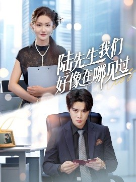 陆先生我们好像在哪见过海报图