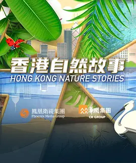 香港自然故事封面图