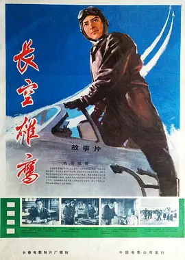 长空雄鹰封面图