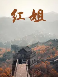 红姐2017封面图