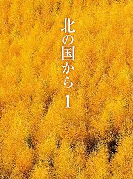 北国之恋封面图