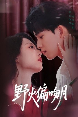 野火偏吻月海报图